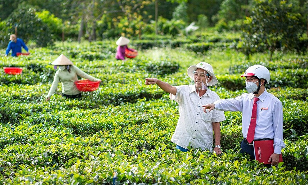 Agribank's green finance strategy