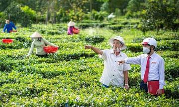 Agribank's green finance strategy