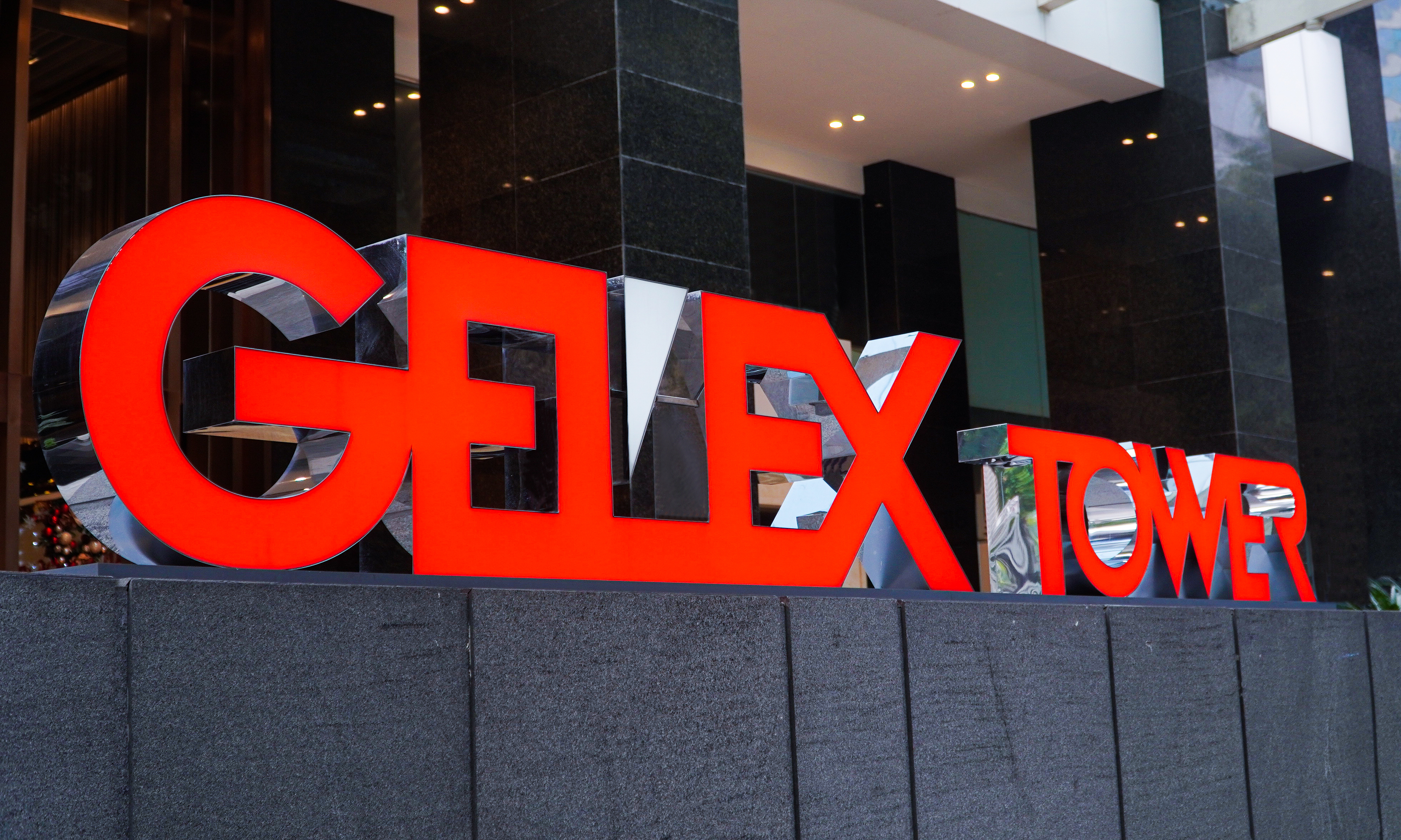 Gelex announces board of directors candidates for new term