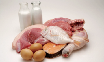 Does high protein intake harm kidneys?