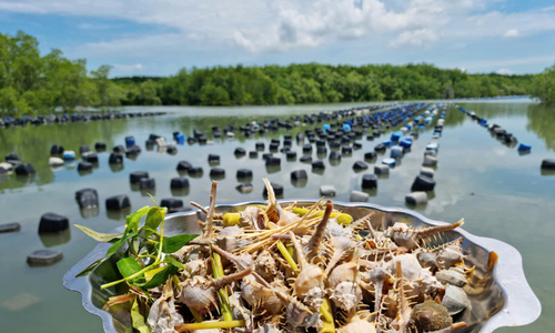 where to enjoy can gio seafood