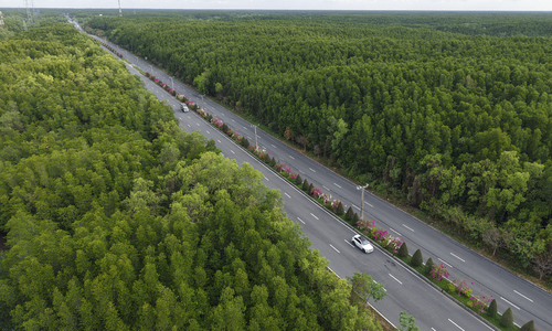 VM Green Paradise Can Gio features the system's greenest course