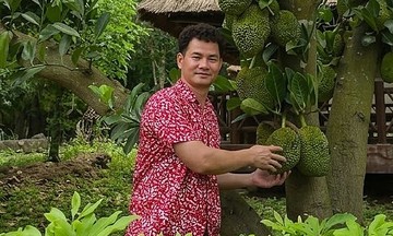 Artist Xuan Bac's gardening hobby