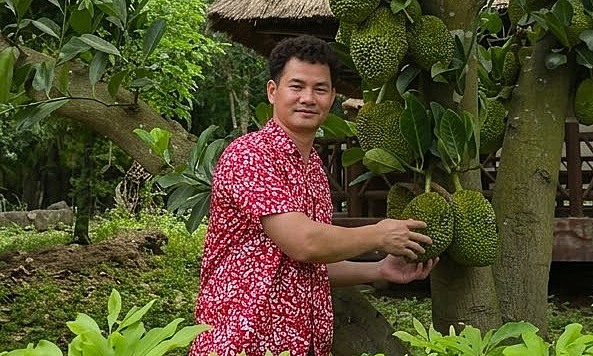 Artist Xuan Bac's gardening hobby