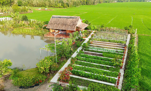 An Giang couple's picturesque 3,000 square meter garden