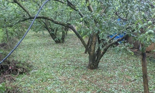 Hailstorms hit Son La, Phu Tho