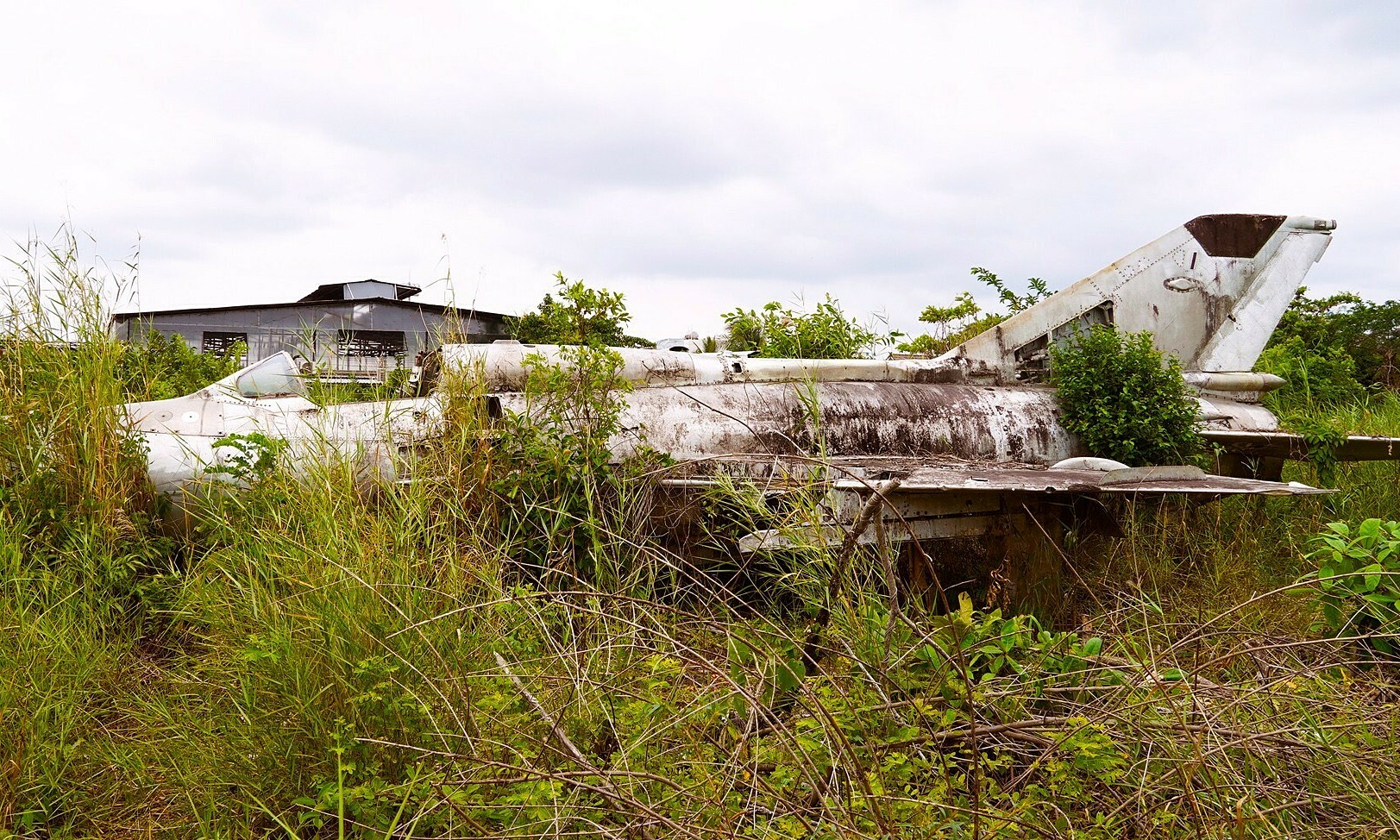 MiG-21 fighter jet "forgotten" for over 40 years in Ca Mau
