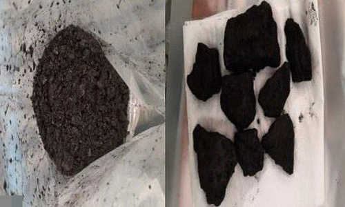 Drug gangs use tactics to bypass sniffer dogs