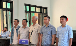 Five officials jailed for illegal logging of burnt forest, causing over 5 billion VND in damages