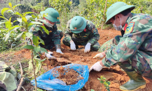 Remains of fallen soldier found with communication wire