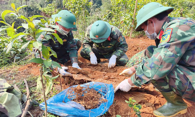 Remains of fallen soldier found with communication wire