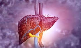 Deadly misconception about fatty liver disease