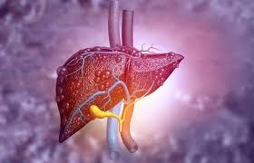 Deadly misconception about fatty liver disease