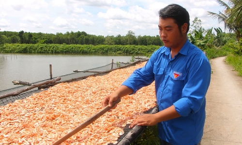 From 80 kg of unsold dried shrimp to 10 billion VND in revenue