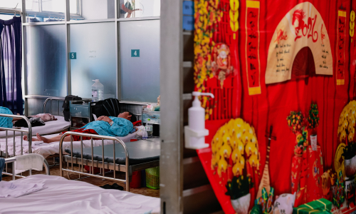 Lives disrupted as dengue fever turns severe