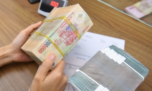 Green credit nearing 780 trillion VND flows into the economy