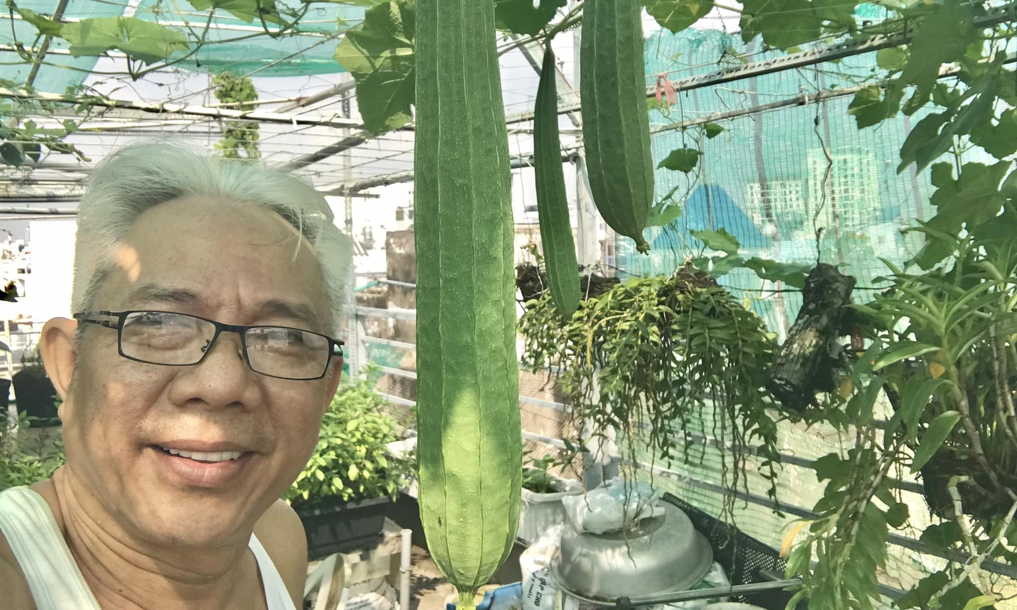 Artist Trung Dan’s rooftop garden