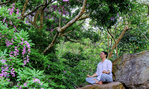 Da Nang revitalizes tourism with in-depth experiences