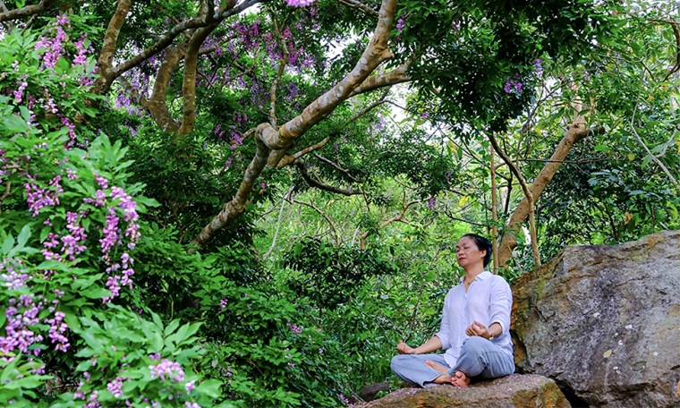 Da Nang revitalizes tourism with in-depth experiences