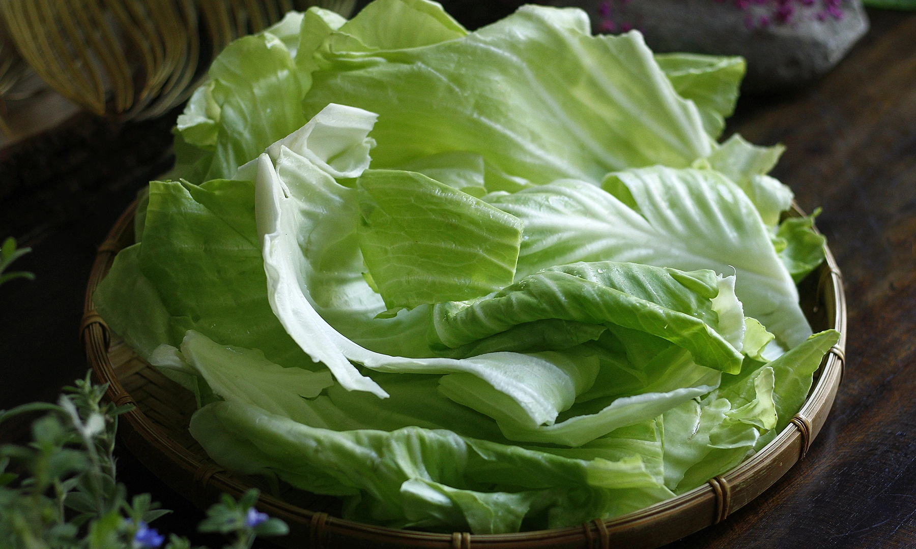 What happens when diabetics eat cabbage?