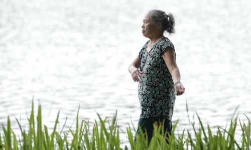 How many calories does walking 10,000 steps burn?