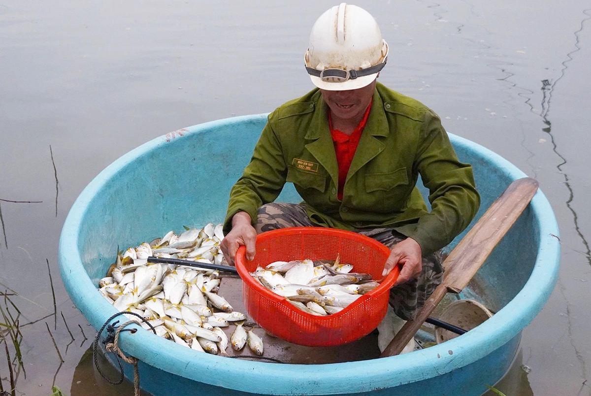 Catching sardines below the Rao Nan irrigation dam
