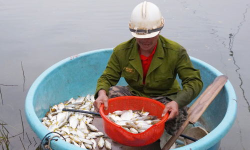 Catching sardines below the Rao Nan irrigation dam