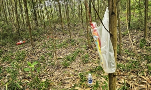 Son-in-law shoots, hunts down in-laws