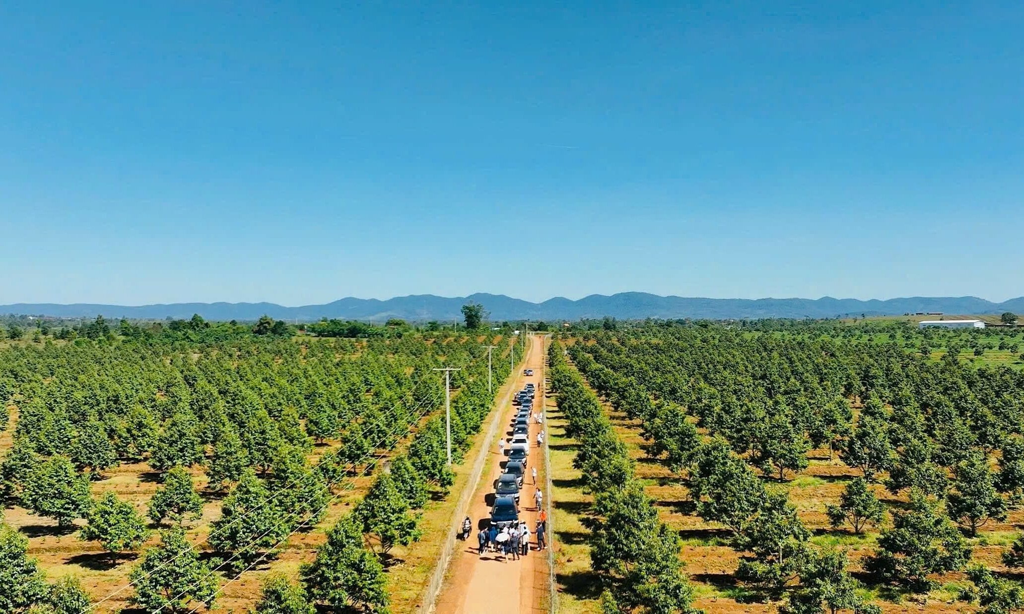 Bau Duc’s company targets record 4,200 billion dong profit