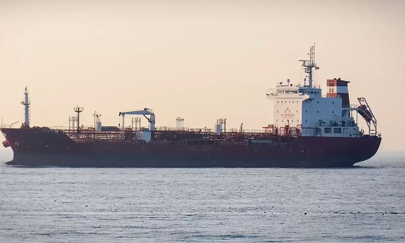 Proposal to support Vietnamese ships navigating the Strait of Hormuz