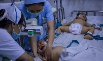 Deadly hand, foot, and mouth disease virus strain spreads across the South