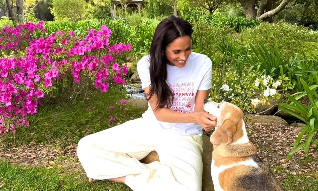 Meghan Markle's everyday style