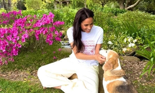 Meghan Markle's everyday style