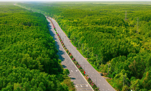 VM Green Paradise Can Gio announces greenest route in its system