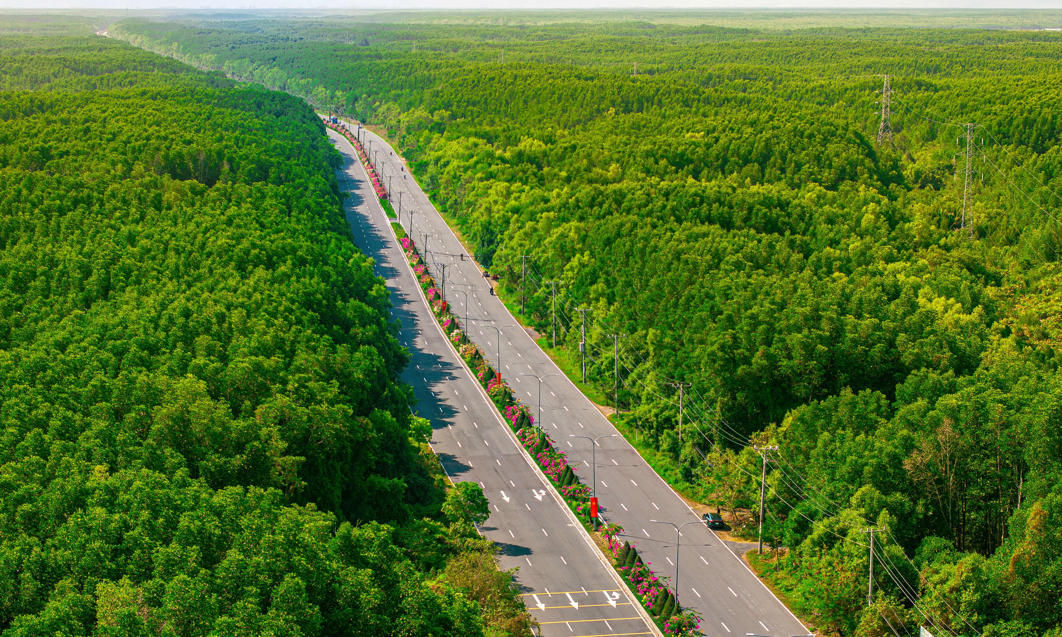 VM Green Paradise Can Gio announces greenest route in its system