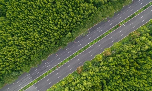 Vingroup proposes expanding Rung Sac road from 6 to 10 lanes