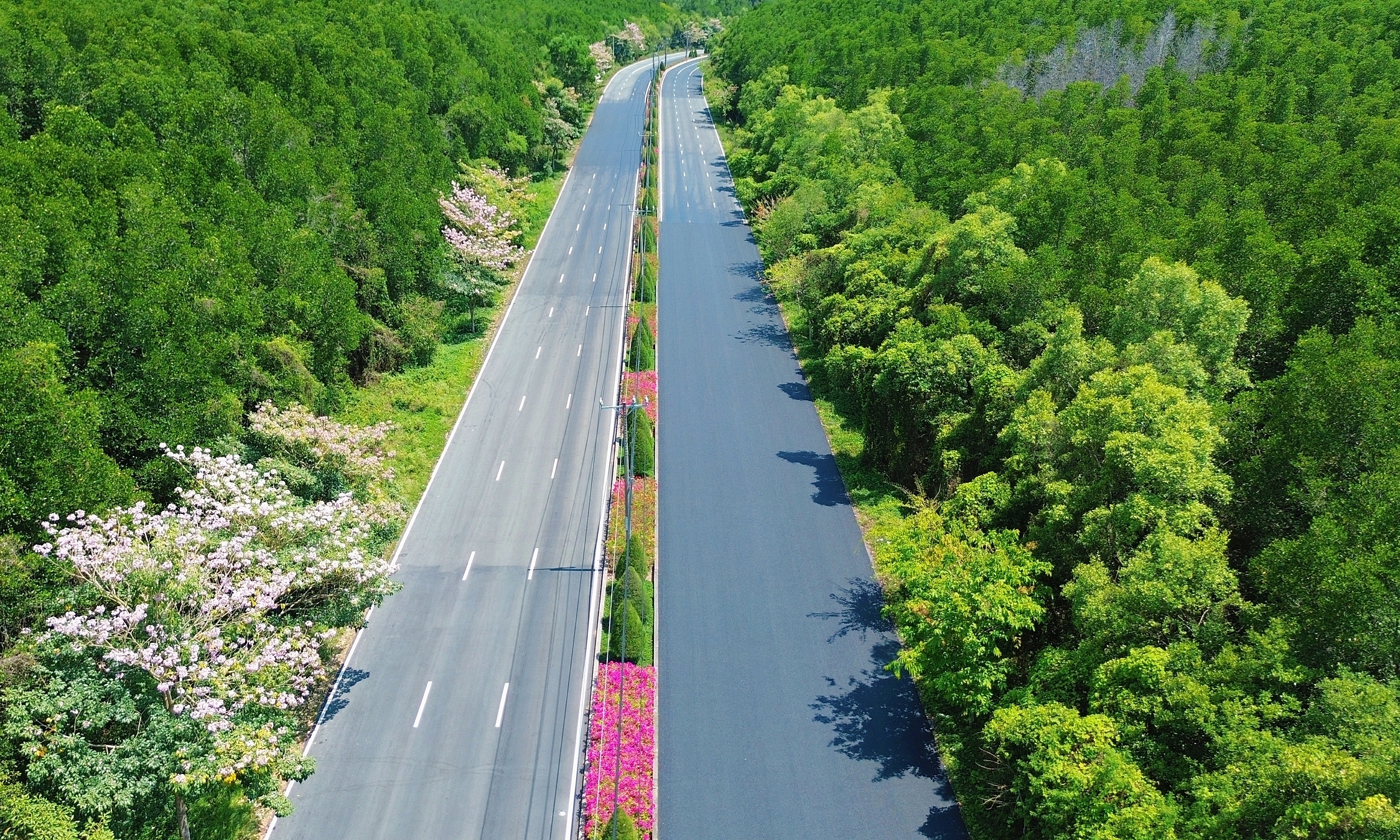 Discover Can Gio through the VnExpress Marathon race course