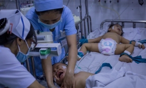 Ho Chi Minh City prepares for potential hand, foot, and mouth disease overload