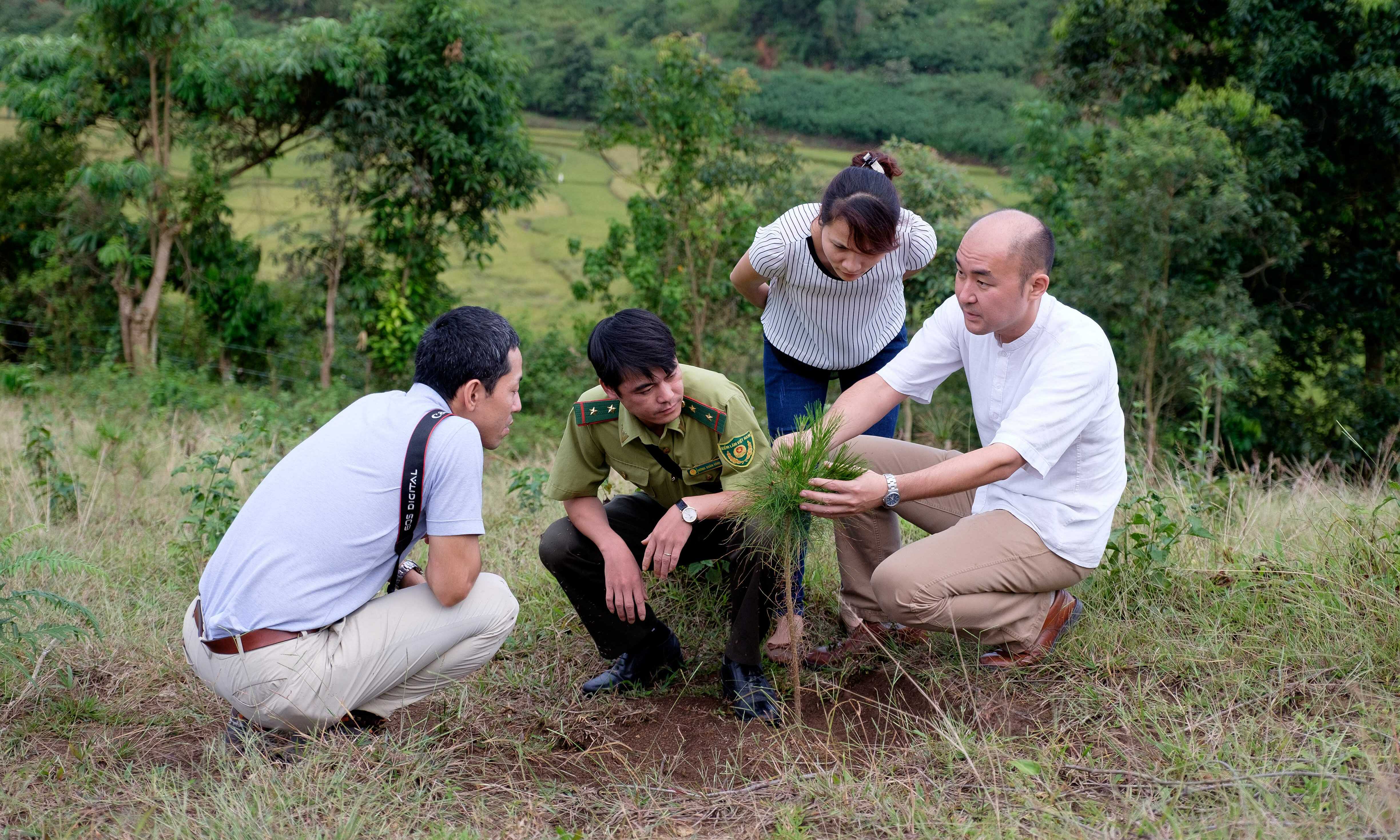 Vietnam receives nearly 72 million USD for reduced deforestation efforts