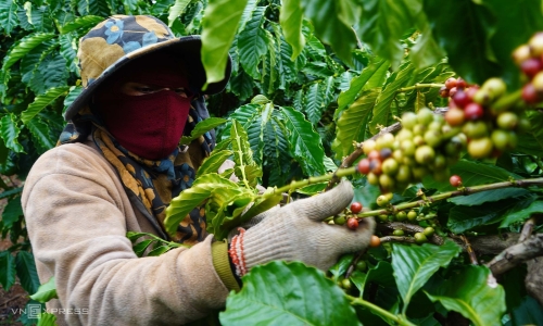 Proposal to extend debt repayment for agricultural export businesses