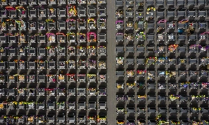 China bans using vacant apartments for urn storage