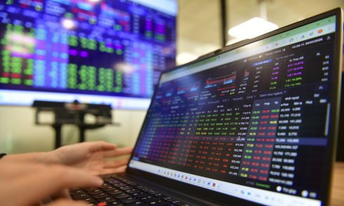 VN-Index reaches a half-month high