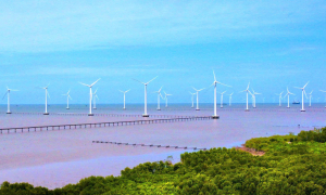 Offshore wind, green hydrogen projects allowed to transfer up to 90% of carbon credits
