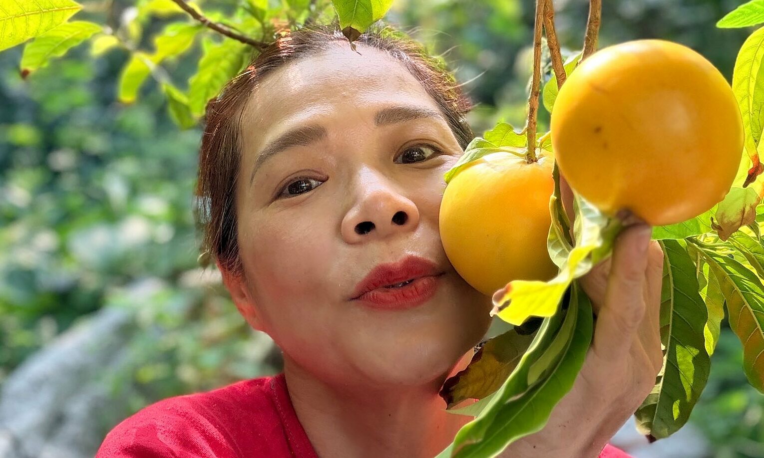 My Le's 10,000 sqm fruit garden