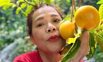 My Le's 10,000 sqm fruit garden