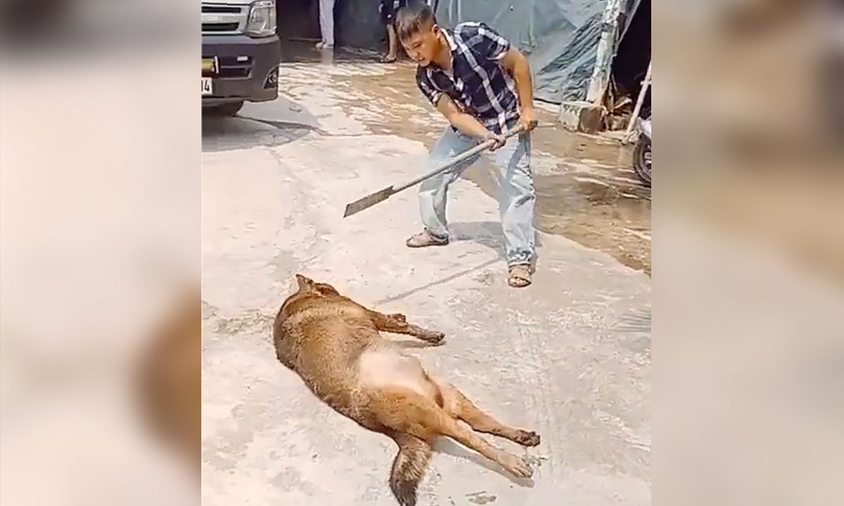 Homeowner dies after german shepherd attack