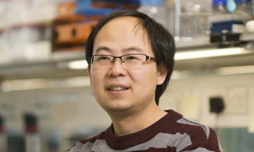 Scientist leaves US at career peak