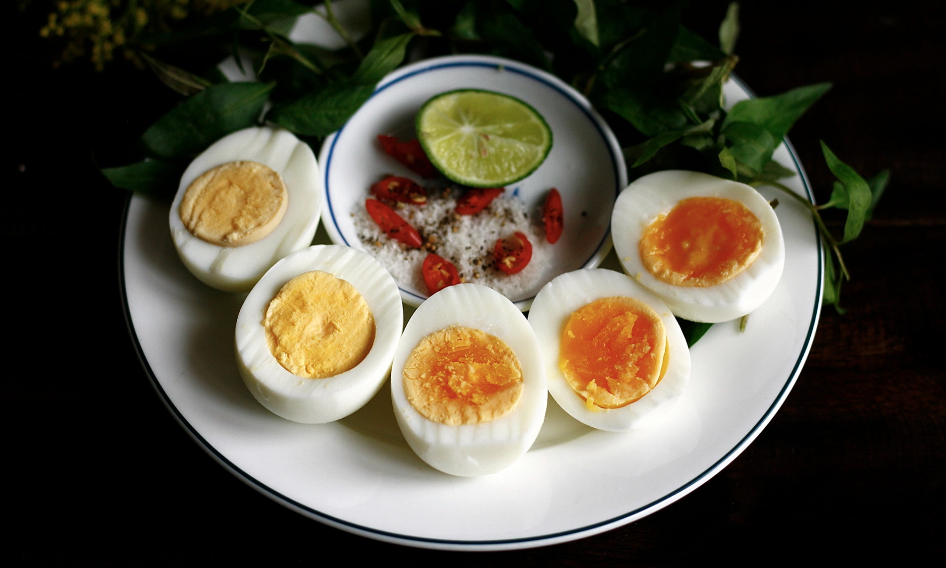 Doctor reveals eating principles to naturally lower blood fat in three months