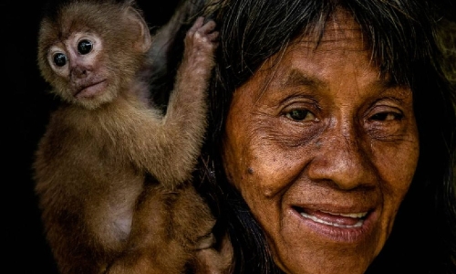 Exploring the Waorani tribe's monkey hunt in the Amazon rainforest