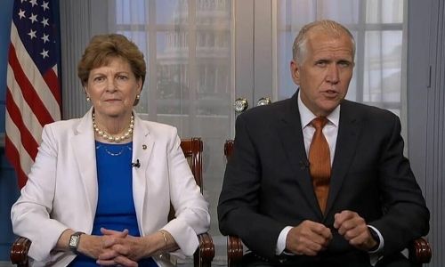 Bipartisan group of senators opposes US withdrawal from NATO